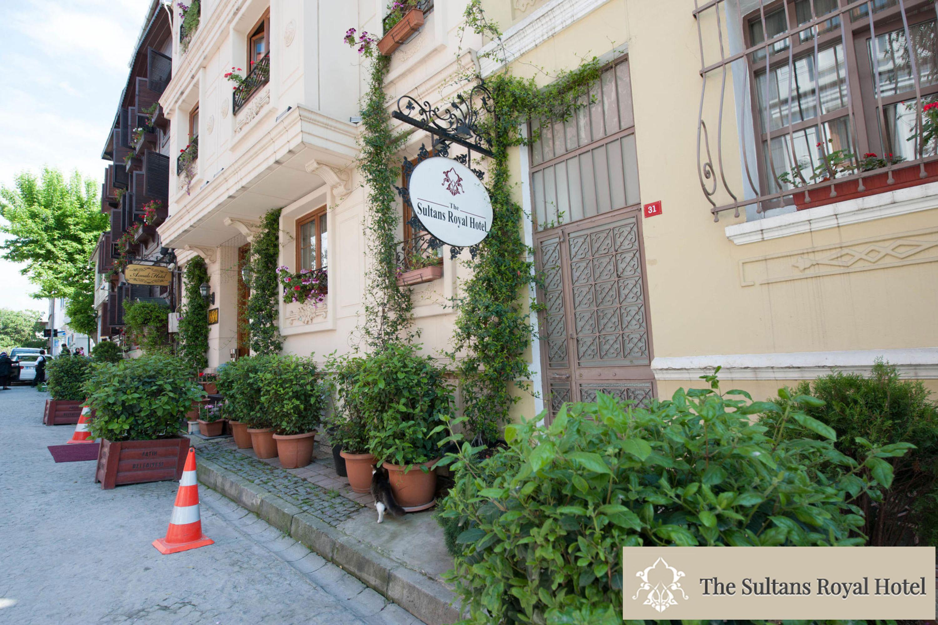 Sultans Royal Hotel Istanbul Exterior photo